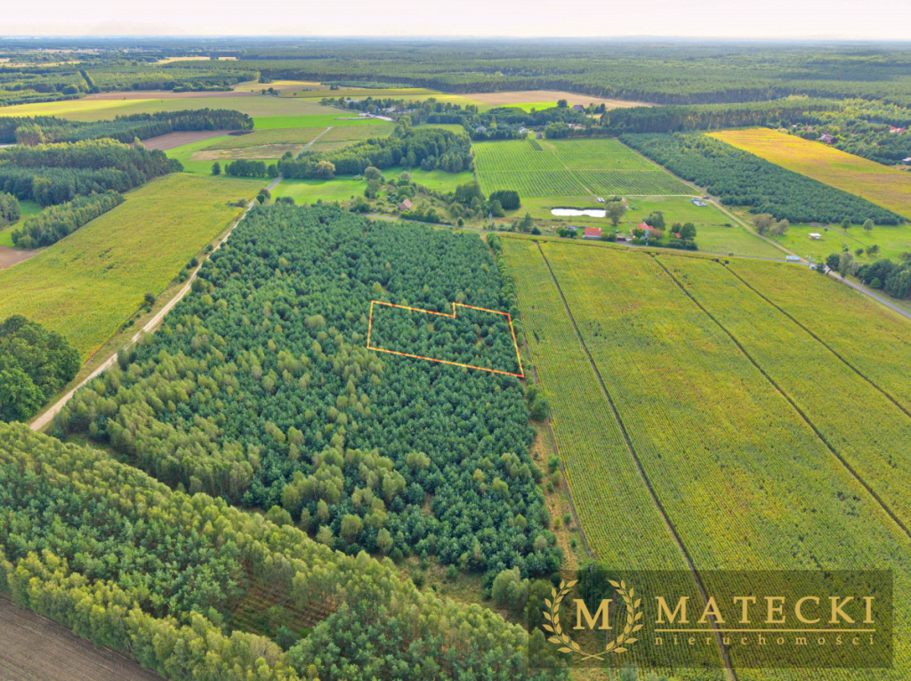 Wyjątkowa, duża działka z drzewami Karczewko - zdjęcie 12