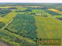 Wyjątkowa, duża działka z drzewami Karczewko - zdjęcie 12