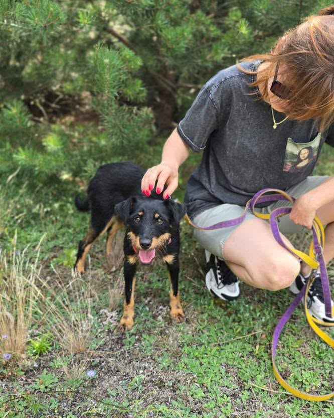 Płotka - młoda terrierka, wesoła, przyjazna sunia! Olsztyn - zdjęcie 6