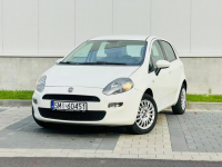 Fiat Punto Evo 1.4 Benz. 77 KM nowy rozrząd,olej,hamulce Mikołów - zdjęcie 2