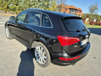 Audi Q5 xenon led navi chromy KAMERA ładny HYBRYDA quattro Drelów - zdjęcie 11