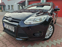 Ford Focus 1.6i (105ps) Serwis, SUPER GWARANCJA Zagórze - zdjęcie 11