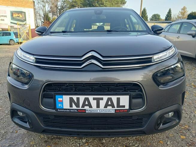 Citroen C4 Cactus Bogate wyposażenie Bydgoszcz - zdjęcie 6