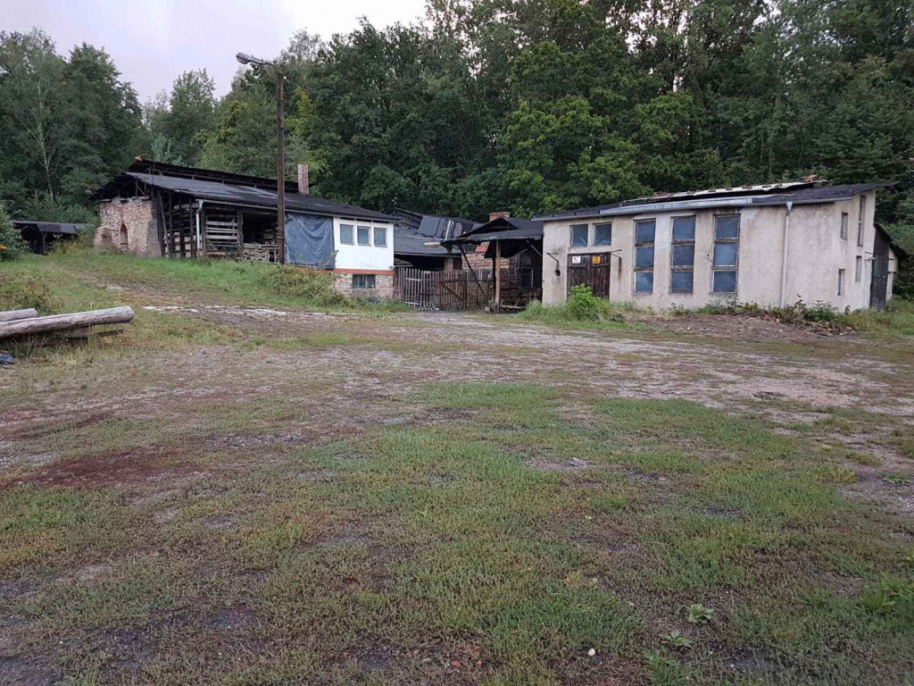 Dz. Inwestycyjna (31622 m2) ze starą cegielnią (Kościelnik) Kościelnik - zdjęcie 8