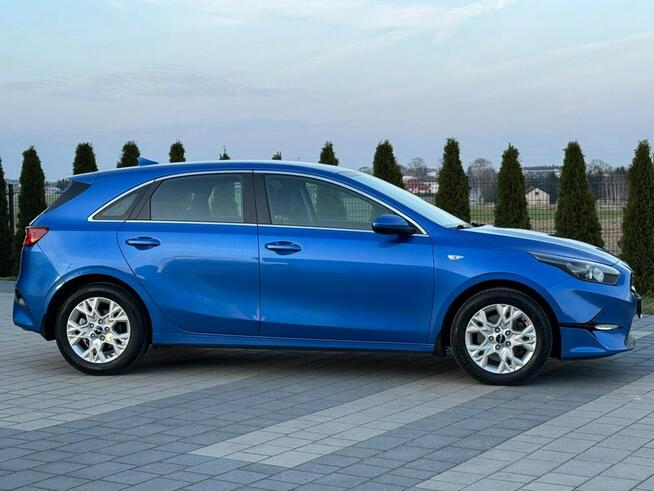 KIA Cee'd 1.5 T-GDI 160KM 7DCT M Salon PL Automat Zambrów - zdjęcie 3