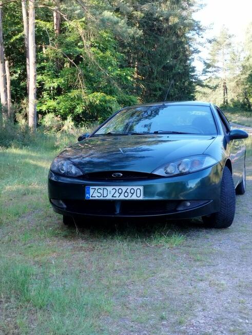 Ford cougar Rąbino - zdjęcie 8
