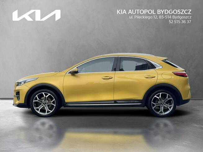 Kia XCeed 1.5 T-GDI 160KM Bussines Line + Salon PL Alufelgi 18 Bydgoszcz - zdjęcie 2