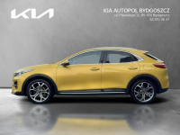 Kia XCeed 1.5 T-GDI 160KM Bussines Line + Salon PL Alufelgi 18 Bydgoszcz - zdjęcie 2