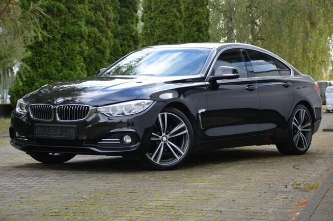 420i Gran Coupe 100%Org.lakier! Bi-xenon Jasna skóra Pamięci El.klapa Kutno - zdjęcie 3