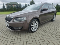 Škoda Octavia 1.2Turbo Automat.Navi.Xenony.Ledy.Serwis.kredyt.OKAZJA Kutno - zdjęcie 9