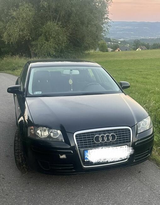 Sprzedam Audi a3 1.9 TDI 2008r Nowy Sącz - zdjęcie 1