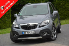 Innovation  Duża Navi Ledy BI-Xenon Skóry 2xParkt Alu 18 Aso Opel
