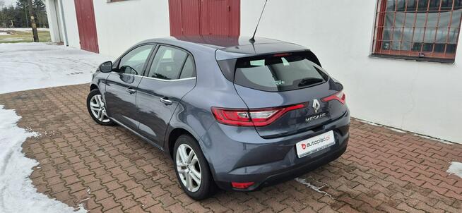 Renault Megane LED Paproć - zdjęcie 5