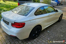 BMW Seria 2 1 właściciel 4x4 Bogata wersja Bezwypadkowy Białystok - zdjęcie 11