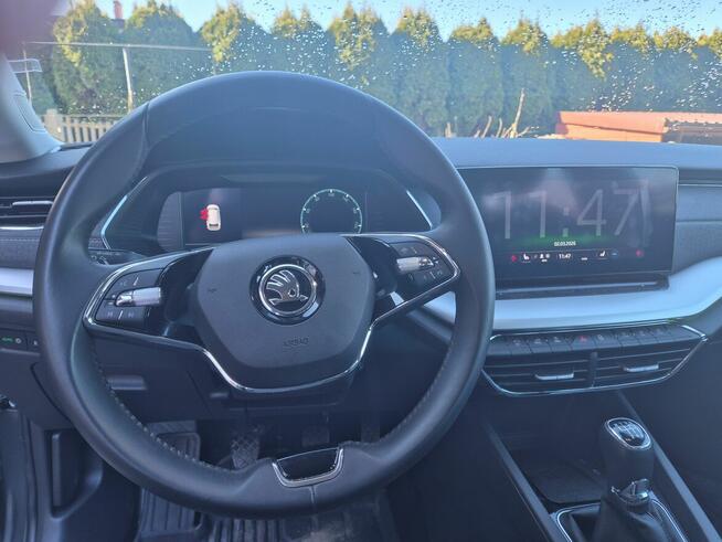 SPRZEDAM Turek - zdjęcie 4