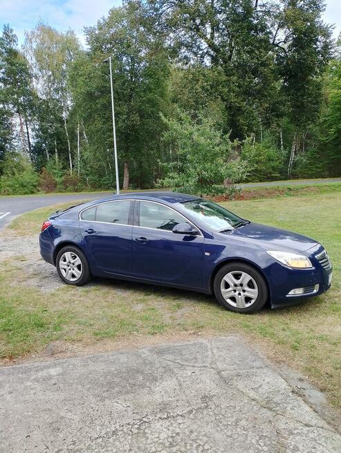 Sprzedam Gizałki - zdjęcie 2