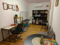 Salon dla psów Nowa Huta - zdjęcie 3