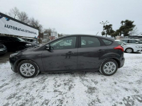 Ford Focus Klimatyzacja, PL salon, Pierwzy właściciel, 2 kpl. kół Cieszyn - zdjęcie 7