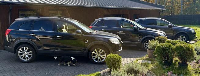 3 sztuki Opel Antara Chevrolet Captiva - ZOBACZ Dobre Auta Legionowo - zdjęcie 3