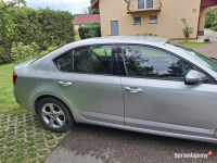 Skoda Octavia 2017 PO PRZEGLĄDZIE Chomentów - zdjęcie 5