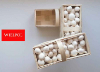 Opakowania do białych pieczarek / białej pieczarki Wielichowo - zdjęcie 3