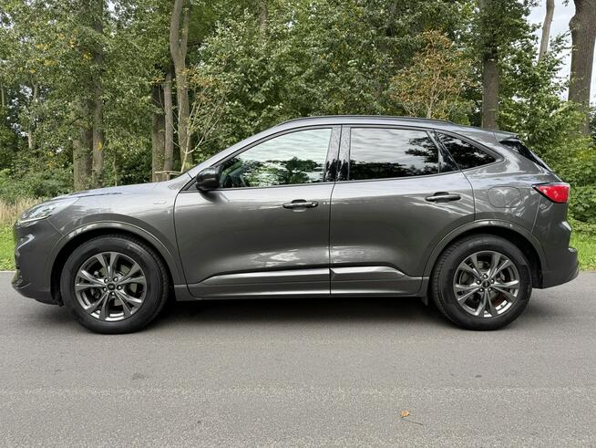 Ford Kuga MK3 1.5 EcoBlue TDCI ST-Line 2020 FULL LED Super Stan Józefkowo - zdjęcie 5