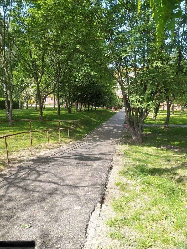 1pok, 27met, Okolice Litewskiej PO REMONCIE (Wrocław) Psie Pole - zdjęcie 8