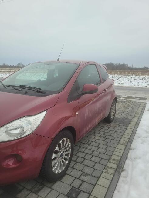 Ford Ka 2010 diesel 1.3 105 000 km Niepołomice - zdjęcie 8