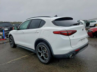 Alfa Romeo Stelvio / 2.0 280KM / 4x4 / Niski przebieg / Tarnów - zdjęcie 5