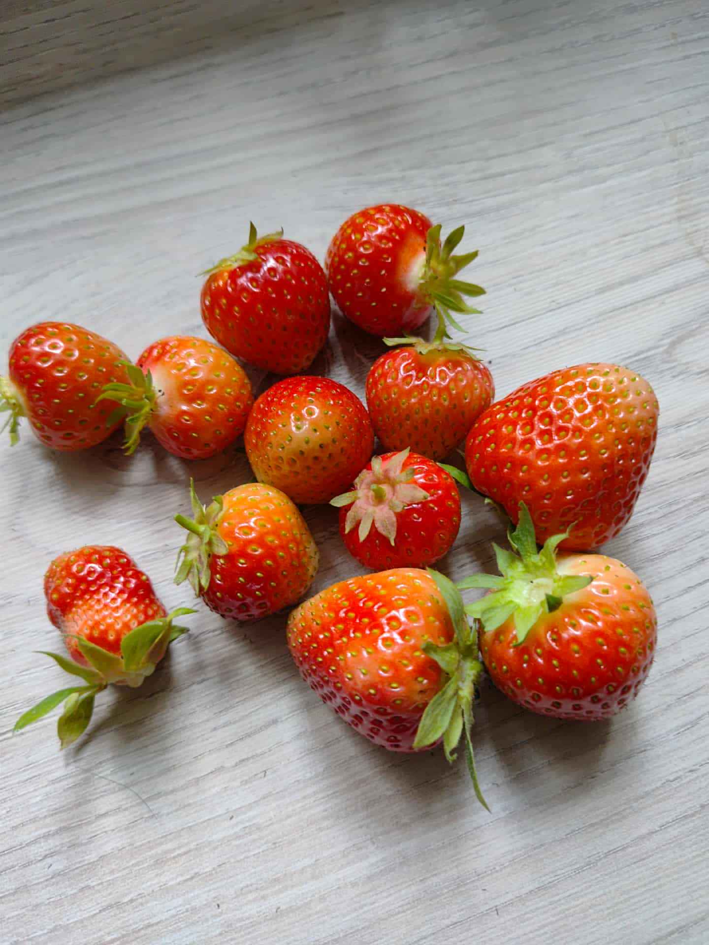 sadzonki truskawek Kiełpino - zdjęcie 1