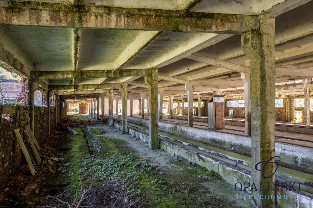 Potencjał inwestycyjny | Bieszczady | Magazyn | Krościenko - zdjęcie 4