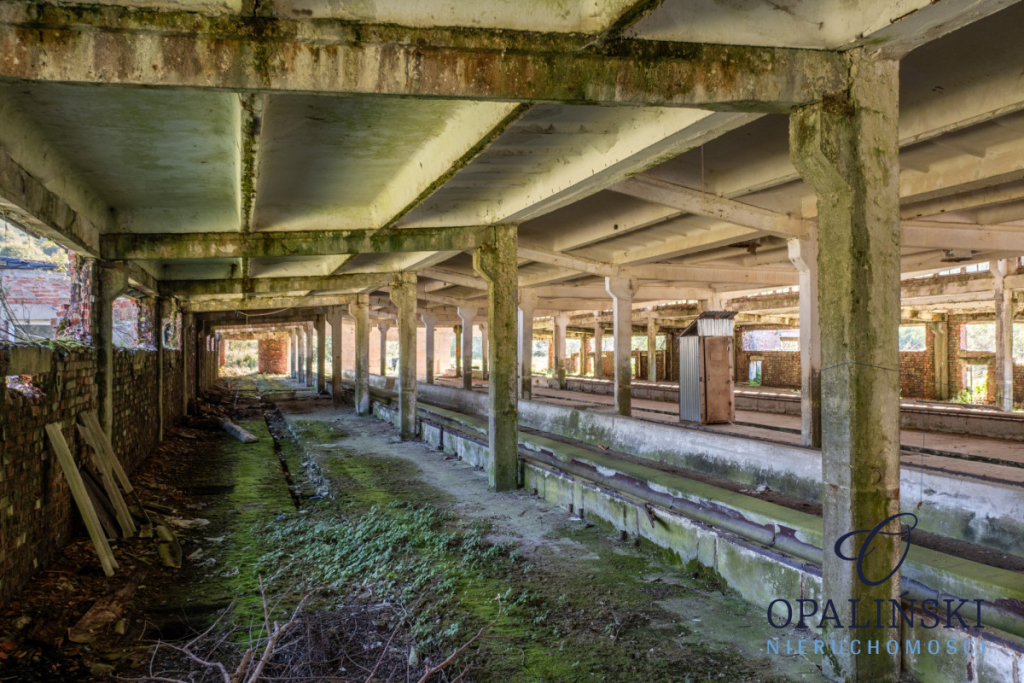 Potencjał inwestycyjny | Bieszczady | Magazyn | Krościenko - zdjęcie 4