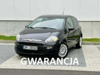 Fiat Punto Evo 1.2 Benz. po serwisie