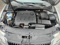 Skoda Super B Greenline 2011 1,6 TDI Lubin - zdjęcie 3