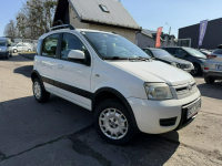Fiat Panda 4X4, Klimatyzacja, Elektryczne szyby, Elektryczne lusterka Cieszyn - zdjęcie 4