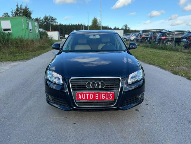 Audi A3 Climatronic   wymieniony rozrząd ledy xsenon automat navi Lębork - zdjęcie 2