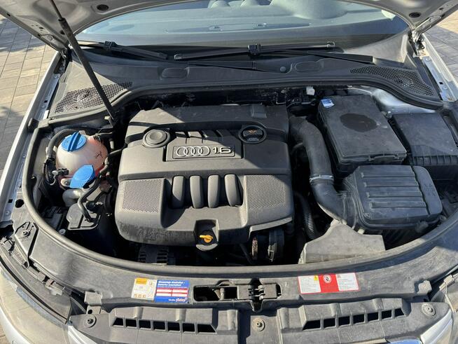 Audi 3 1,6 mpi 102 Konie Xenon tylko 155 tys km Śliczna ! Szerominek - zdjęcie 3