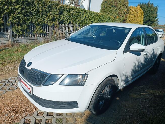 Škoda Octavia krajowa Chełm Śląski - zdjęcie 2
