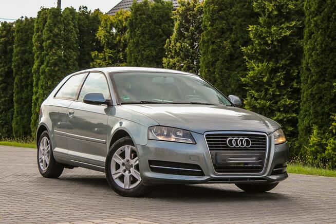 Audi A3 105KM Klimatronik Parktronik Lift Ostrów Mazowiecka - zdjęcie 2