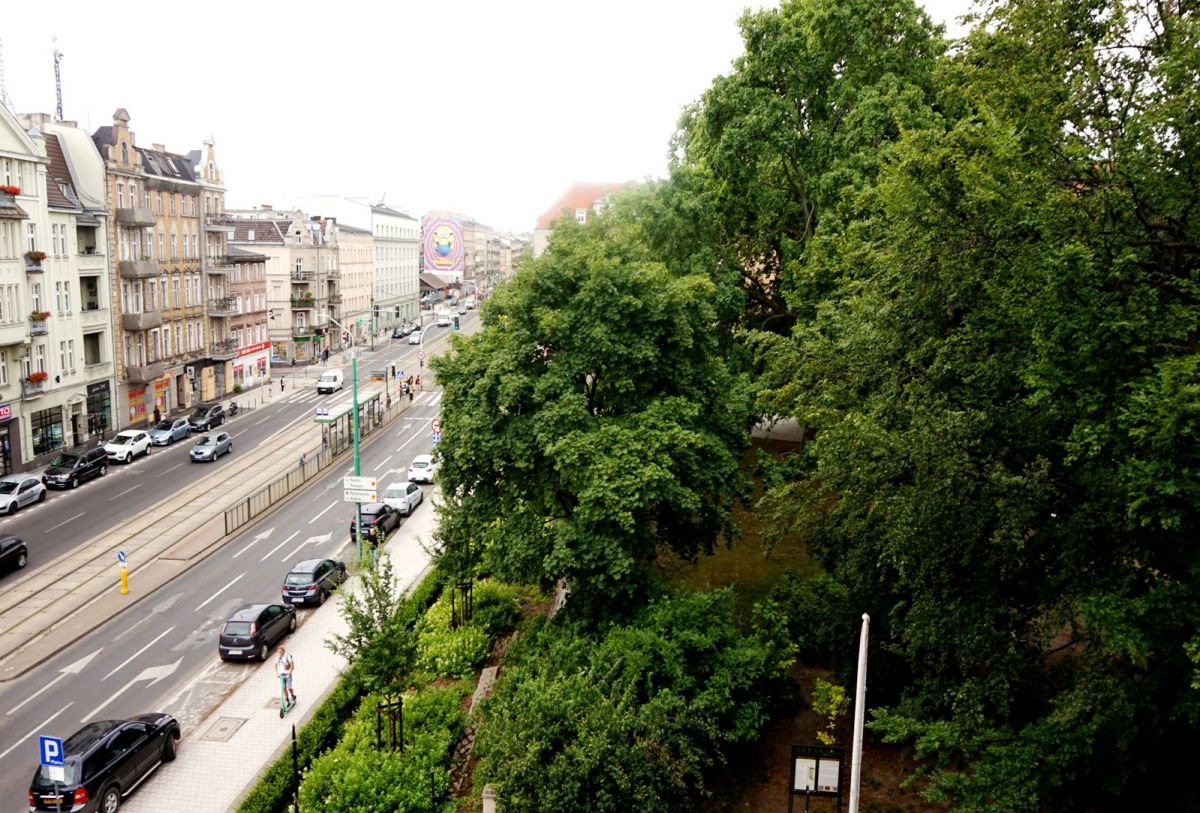 Mieszkanie z oknami w parku !! Poznań - zdjęcie 1