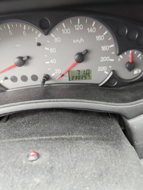 Tania Foczka Brzyków - zdjęcie 4