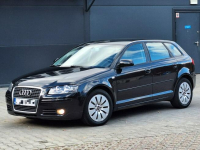 Audi A3 * 1.9TDi* czarny* 5DRZWI* bdb stan* KLIMA* alufelgi * Olsztyn - zdjęcie 3