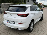 Opel Grandland 1.2 Benzyna Automat 1właściciel, SALON POLSKA ! Gostyń - zdjęcie 6