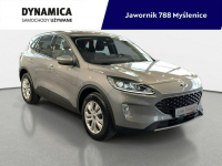 Ford Kuga VAT 23% 1.5 150KM M6 2024 r., przebieg tylko 31tys.km, NAVI.