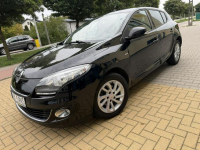 Renault Megane Lift 1.5Dci 2013r Bose Nawigacja Kamera LED Półskóra !