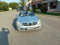 Ładny Mercedes-Benz SLK 200 Kompresor z 2006 roku Jarosław - zdjęcie 3