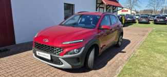 Hyundai Kona HYBRYDA-LED-AUTOMAT Paproć - zdjęcie 3