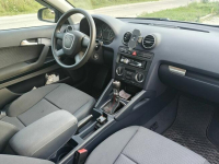Audi A3 8P 1.6 MPI Gdańsk - zdjęcie 8