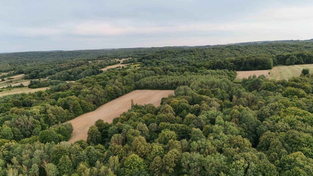 Tarnawa Duża – ponad 60 arów przy asfalcie, z warunkami na prąd i wodę Turobin - zdjęcie 7