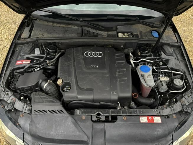 A4 2.0 TDI AMBIENTE 143KM xenon SKÓRA klima SERWIS bezwypadek 2008 Tychy - zdjęcie 8